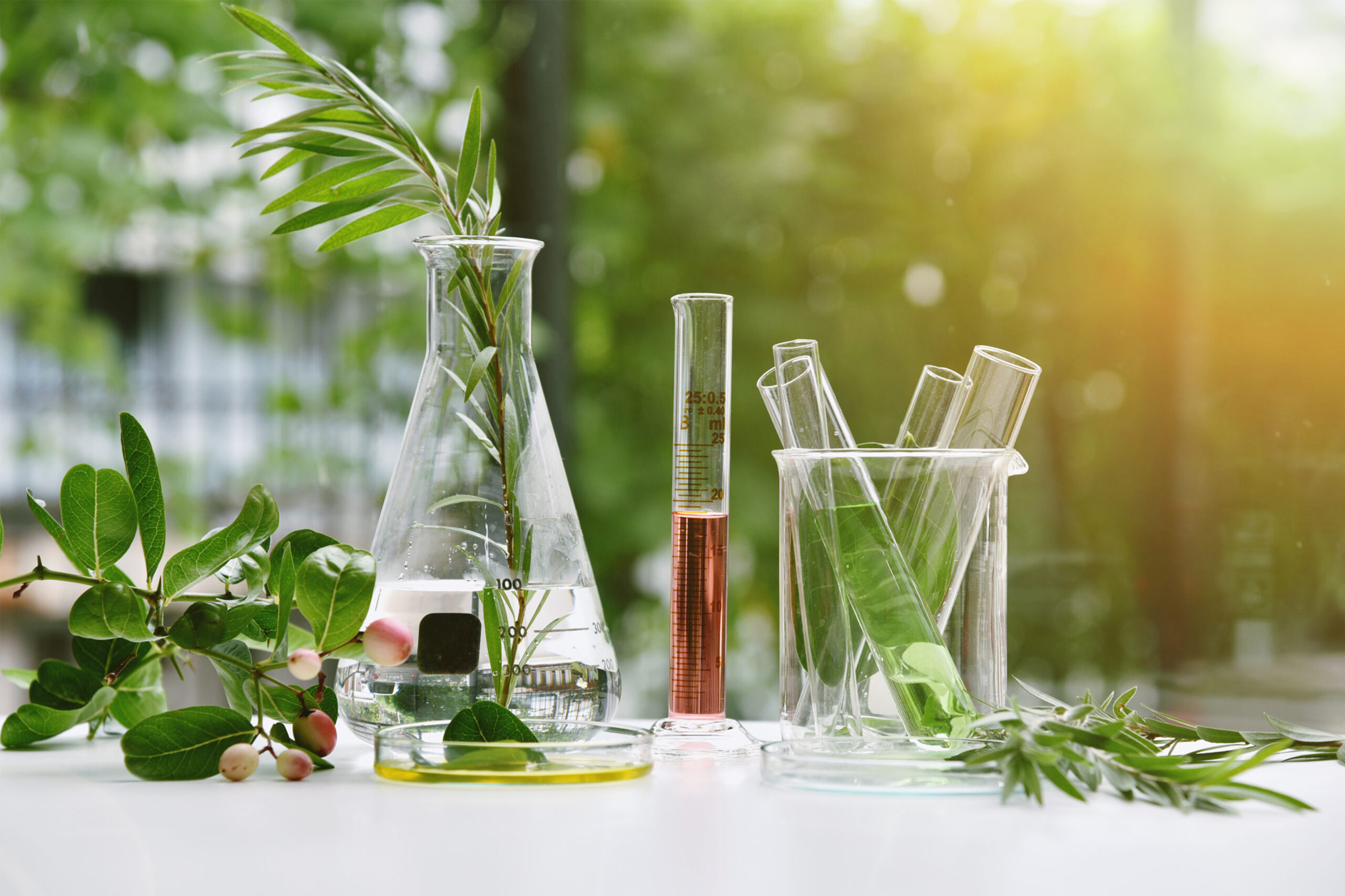 All Products at Packwood Gummies are Lab Certified